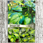 Хоста ДЖОРДЖ СМИТ