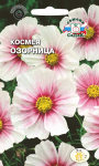 Космея Озорница