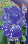 Ирис Германский Батик (1шт) 3976