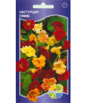 Настурция Глим (глим хибридс)
