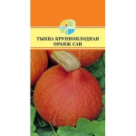 Тыква Оранж Сан