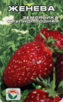 Земляника Женева Сибирский Сад