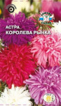 Астра Королева Рынка (смесь) страусово перо
