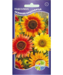 Подсолнечник декоративный Осенняя красавица (телл отим бьюти)