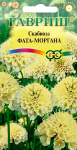 Скабиоза темнопурпурная Фата-моргана махр. 6шт