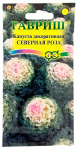 Капуста декоративная СЕВЕРНАЯ РОЗА ГАВРИШ