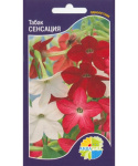Табак цветущий крылатый Сенсация (сенсейшен микс)