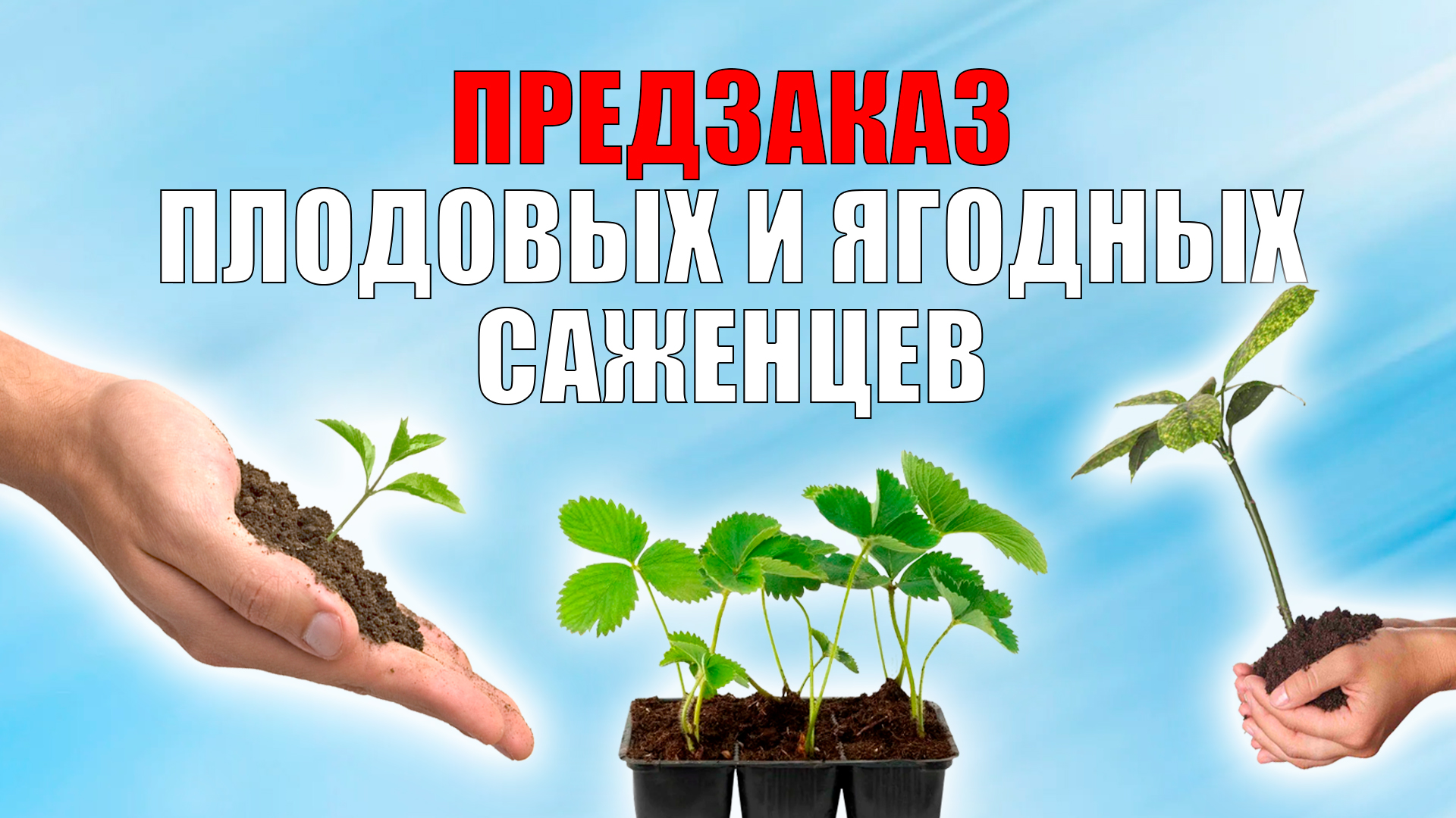 Друзья, дачники. Важная информация! 