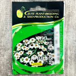 ЦИННИЯ узколистная СТАР УАЙТ ГАВРИШ