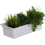 Ящик для рассады белый 200*500*120 Интехпром