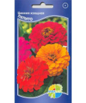 Цинния Пепито (пепито дварф)