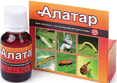 Алатар 25мл (тля, белокрылка, колорадский жук) Алатар 25мл (тля, белокрылка, колорадский жук)