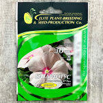 КАТАРАНТУС медитеранен ХР ПИЧ ГАВРИШ