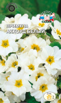 Примула Аккорд Белый бесстебельная
