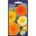 Календула 