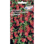 Брусника ягода крупноплодная Коралл