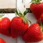 Земляника (Клубника) Клери в кассете