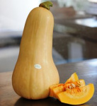 тыква Мускат Прованса