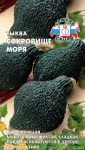 тыква Сокровище моря F1 (1)
