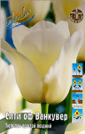 Тюльпан Сити Оф Ванкувер (1шт)