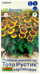 Рудбекия волосистая ТОТО РУСТИК КАРЛИКОВАЯ АЭЛИТА