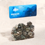 Набор ракушек, внутри перламутр, 1,5  см, 100 г 1302303