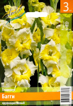 Гладиолус Багги (3шт)