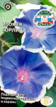 Ипомея Горлица (вид нил, голубая с белой каймой) (Евро)