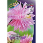 Аквилегия Барлоу Пинк (2шт) 650