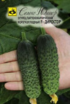 Огурец Директор F1