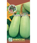 Кабачок белоплодный Грибовский 37 10шт