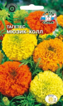 Тагетес прямостоячий Мюзик Холл (хризантемов.)