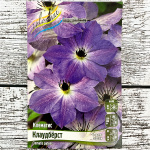 Клематис КЛАУДБЁРСТ