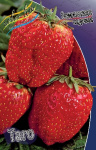 Земляника (Клубника) Таго (5 шт) 2169