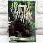 Клопогон АТРОПУРПУРЕЯ