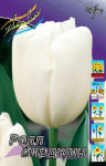 Тюльпан Роял Вирджин (1шт) 2694