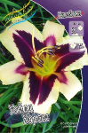 Лилейник Уайлд Хорсес (1шт)