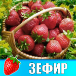 Земляника (Клубника) Зефир в стаканчике