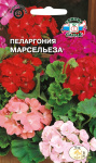 Пеларгония Герань Марсельеза