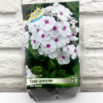 Флокс ГРАФ ЦЕППЕЛИН