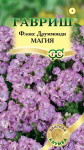 Флокс Магия друммонди * 8 шт. сер. Элитная клумба