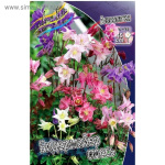 Аквилегия Бидермайер (5шт) 803