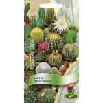 Кактус смесь