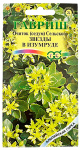 Очиток Седум, Сельского Звезды в изумруде ГАВРИШ
