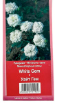 Миниатюрные розы УАЙТ ГЕМ WHITE GEM