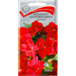 Бальзамин Афина Артемида 5шт