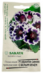 Глоксиния Аванти синяя с белым краем F1 ГАВРИШ