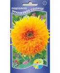 Подсолнечник декоративный Оранжевое солнце (дубл телл оранж сан)