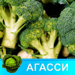 Рассада Капусты микс Рассада Капусты микс