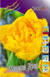 Тюльпан Мария Джо (1шт) 924